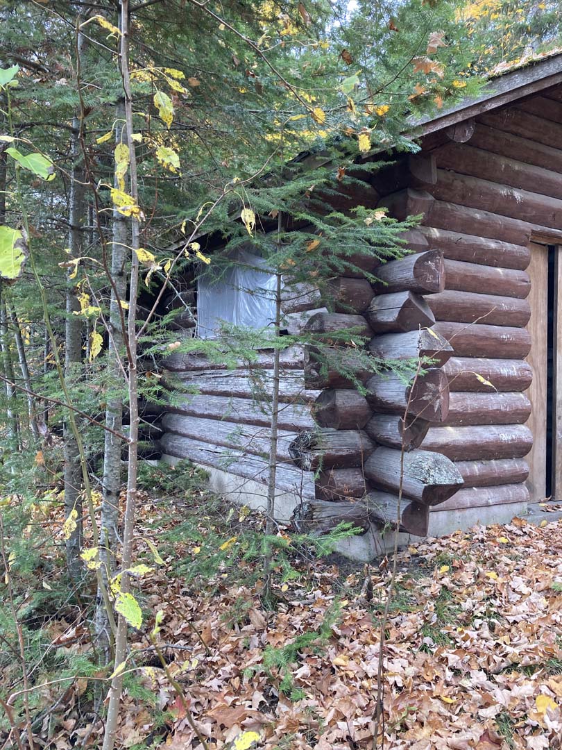corner of log structure showing protruding round logs with angled ends of irregular length. Window covered in plastic. Small trees growing close to building
