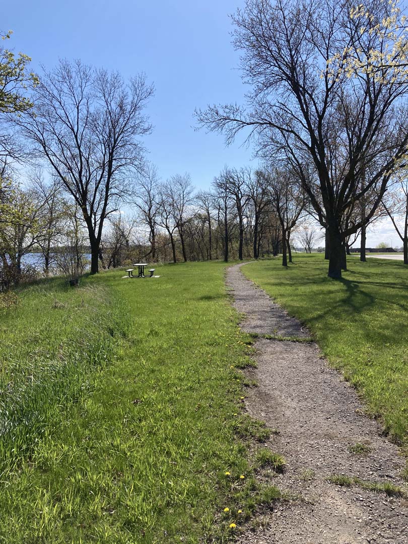 crumbling bituminous surfaced trail through grass picnic area with trees and lake to the left and trees and road to right. One picnic table visible in grass on right. Sly is blue and the flat horizon is visible.