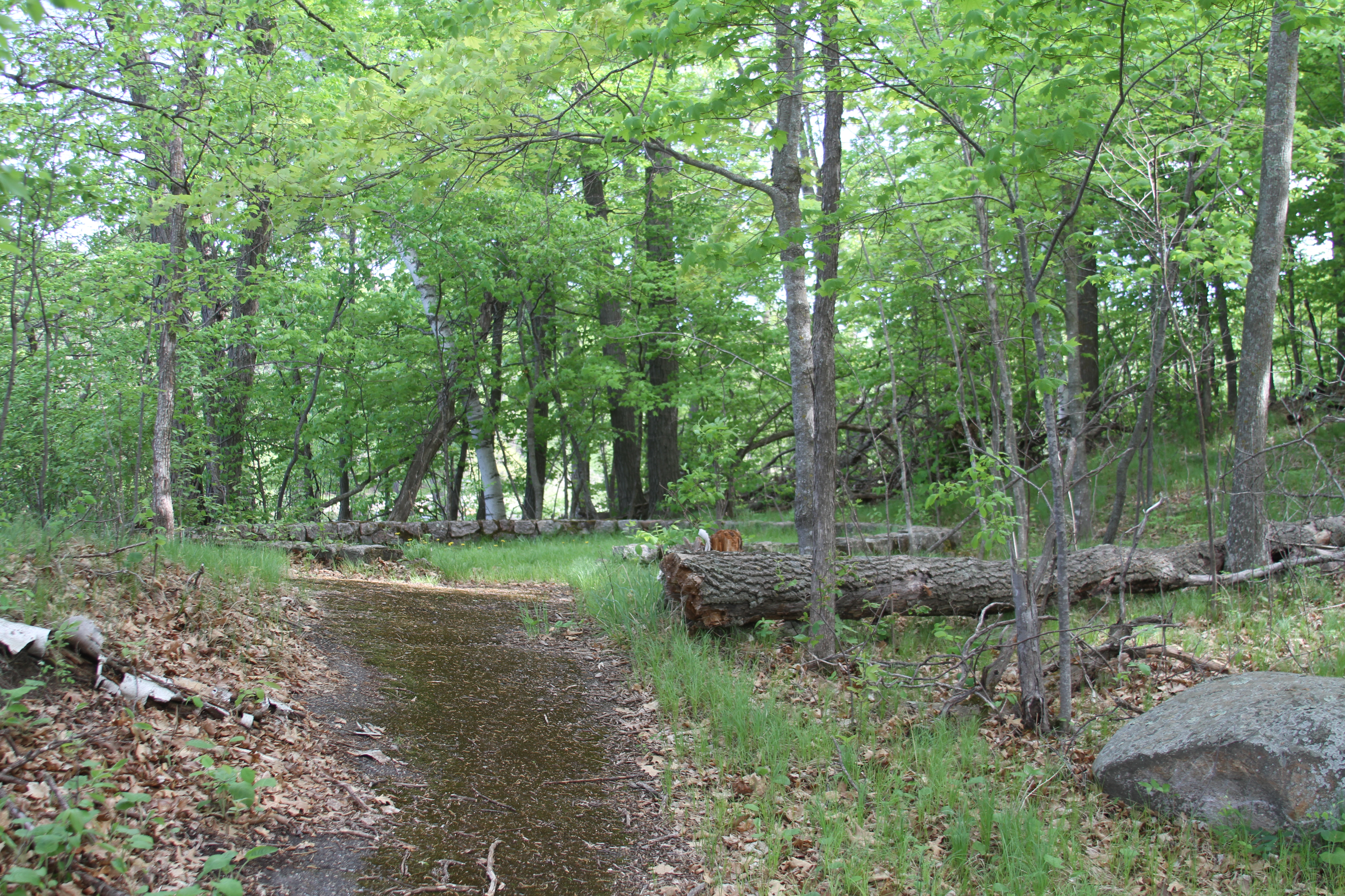 Pine-Hickory Lakes Roadside Parking Area