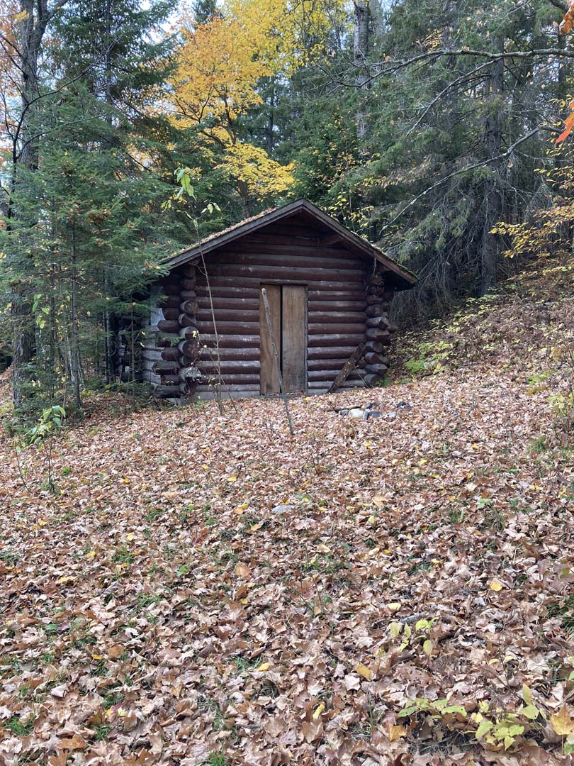exterior view of one story round log structure, fallen leaves on ground and trees encircling sides and back of structure. Ground slopes up on right side of shelter. Yellow leaves and evergreen trees in background